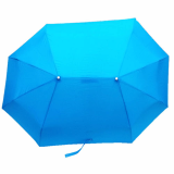umbrella couple  1486461